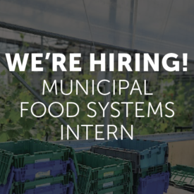We're Hiring! Municipal Food Systems Intern