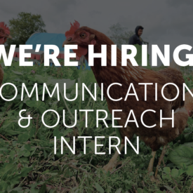 We're Hiring! Communications & Outreach Intern