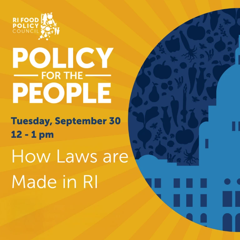 How laws are made in RI