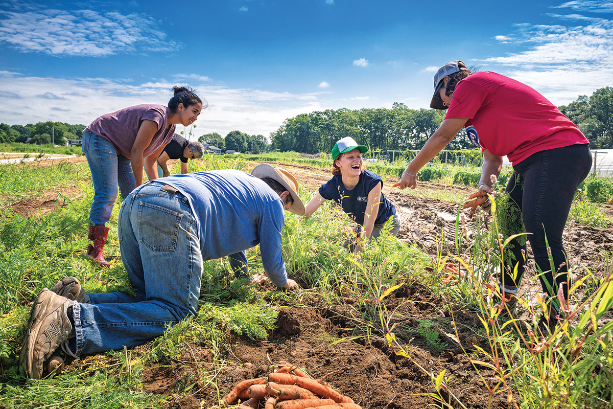 Gleaning