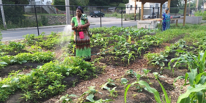 R.I. legislators approve tax relief for small farmers, four other food system bills